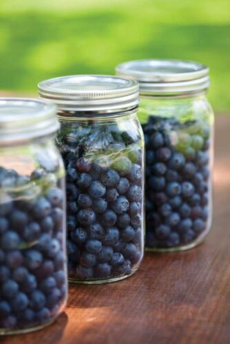 A Guide to Freezing Food